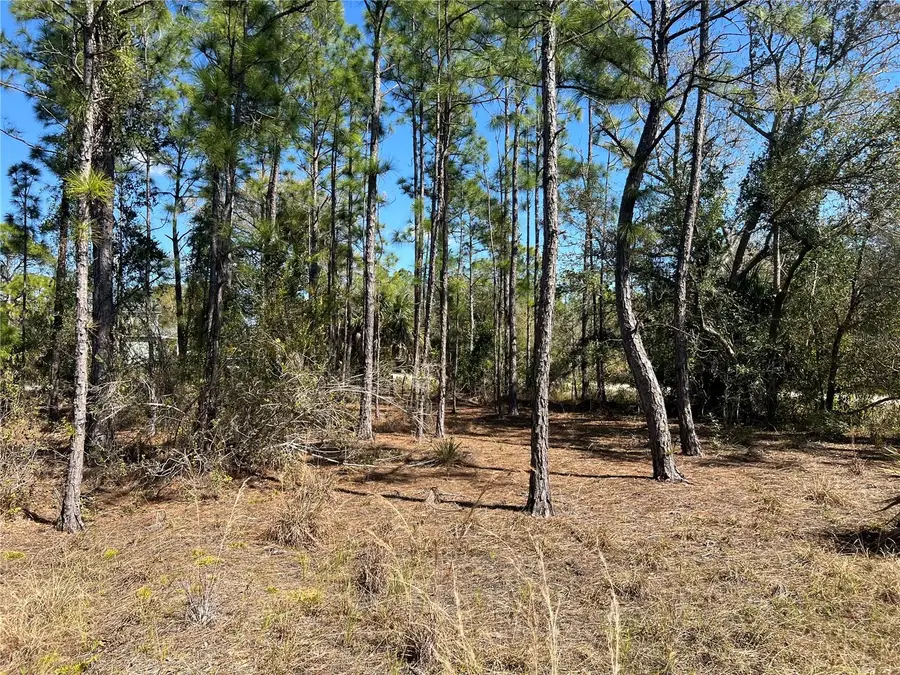 28019 Treadmill Drive, Punta Gorda, FL 33955 - #2