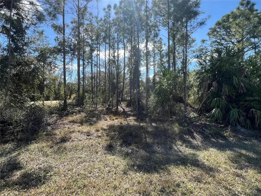 28019 Treadmill Drive, Punta Gorda, FL 33955 - #3