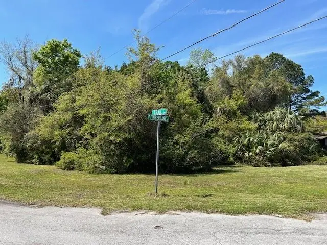 4816 S Trail Way, Homosassa, FL 34448 - #1