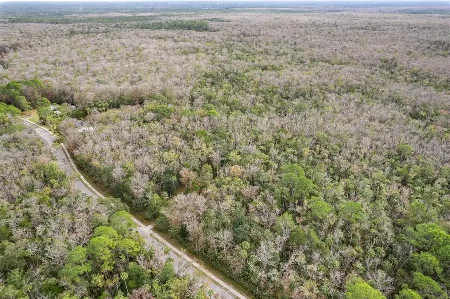 9266 and 9248 W Yulee Drive, Homosassa, FL 34448 - #3
