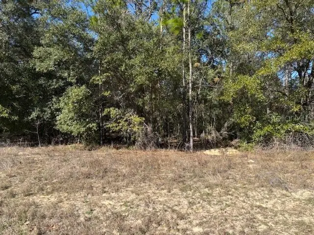 497 W Hummingbird Drive, Citrus Springs, FL 34434 - #3