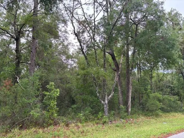 359 N Fitzpatrick Avenue, Inverness, FL 34453 - #2