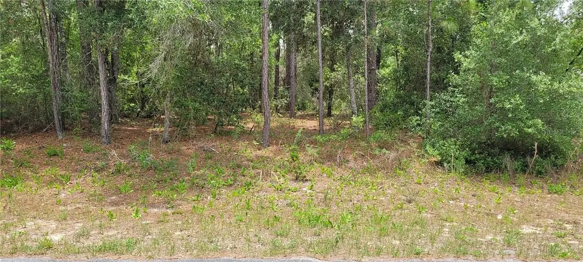 9169 N Saponaria Drive, Citrus Springs, FL 34433 - #1