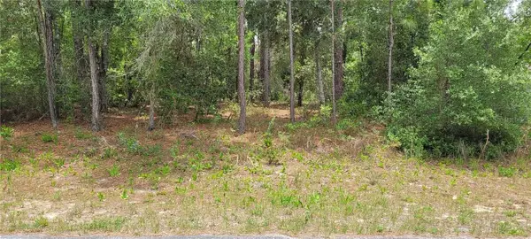 9169 N Saponaria Drive, Citrus Springs, FL 34433