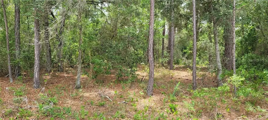 9169 N Saponaria Drive, Citrus Springs, FL 34433 - #2