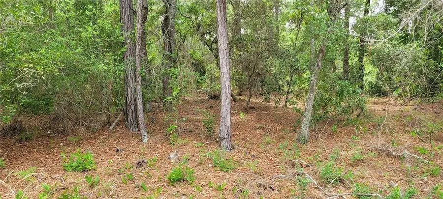9169 N Saponaria Drive, Citrus Springs, FL 34433 - #3