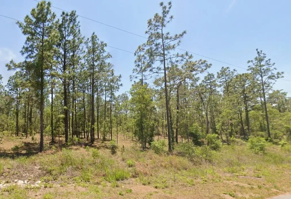 0 NW Water Oak Ave., Dunnellon, FL 34431 - #1