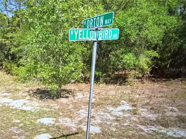 8265 N Yellowbird Avenue, Dunnellon, FL 34434