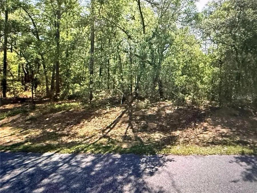 8265 N Yellowbird Avenue, Dunnellon, FL 34434 - #2
