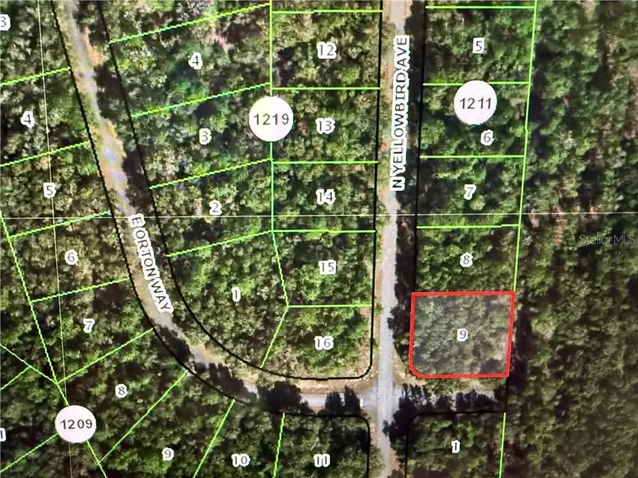 8265 N Yellowbird Avenue, Dunnellon, FL 34434 - #3