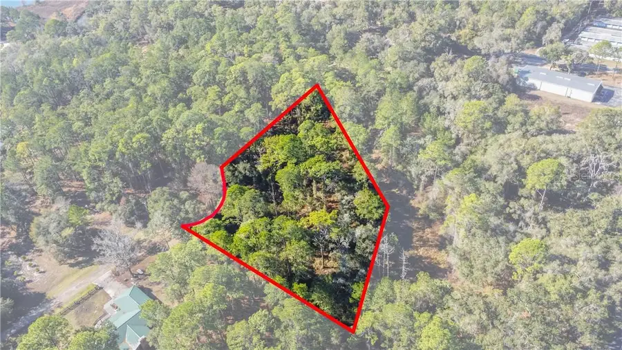 2319 W Wildflower Court, Dunnellon, FL 34434 - #3