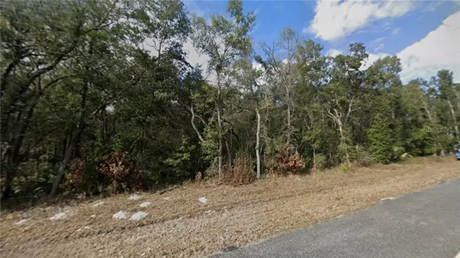 TBD NW 85th Avenue, Chiefland, FL 32626 - #2