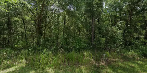 305 N Fitzpatrick Avenue, Inverness, FL 34453