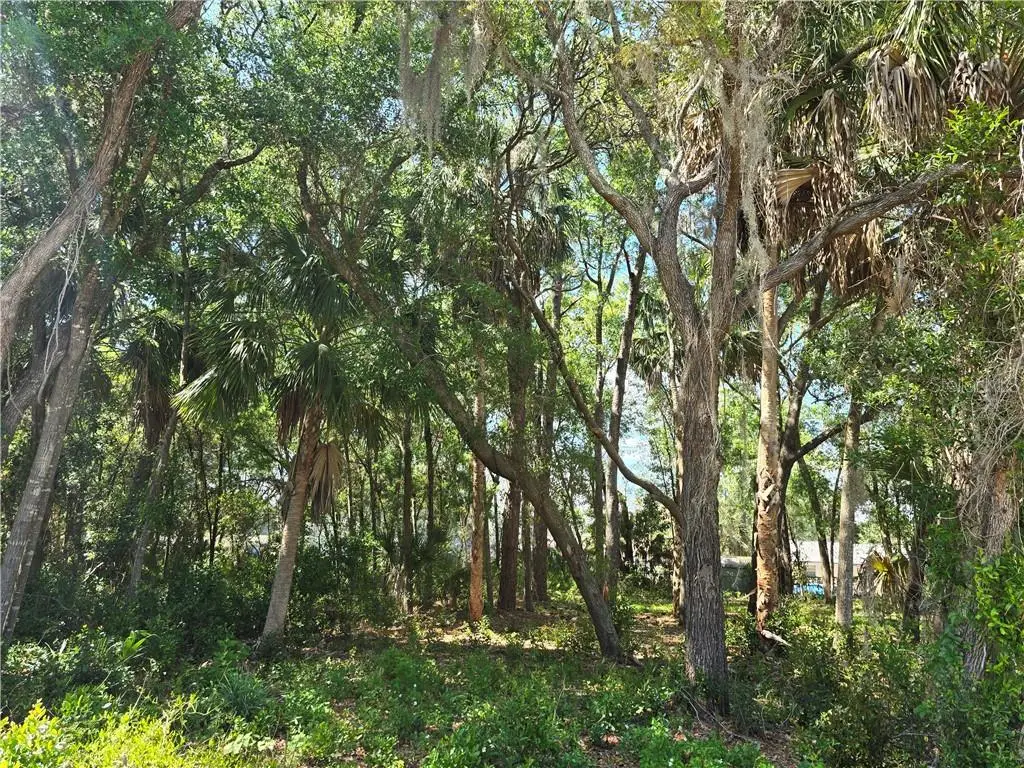 7075 W Crestview Lane, Crystal River, FL 34429 - #1