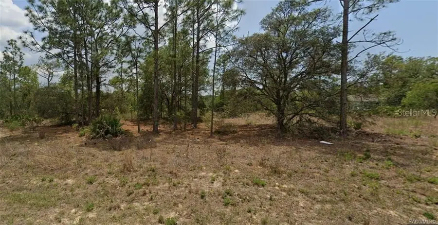3420 W Hayward Lane, Citrus Springs, FL 34433 - #2