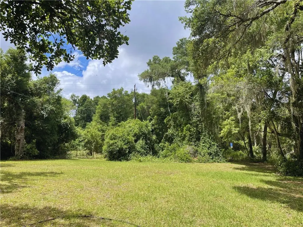 9381 S Great Oaks Drive, Floral City, FL 34436 - #1