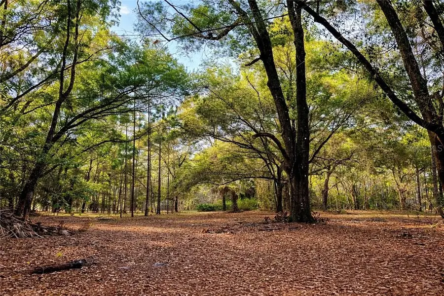 8248 E Fort Cooper Road, Inverness, FL 34450 - #3
