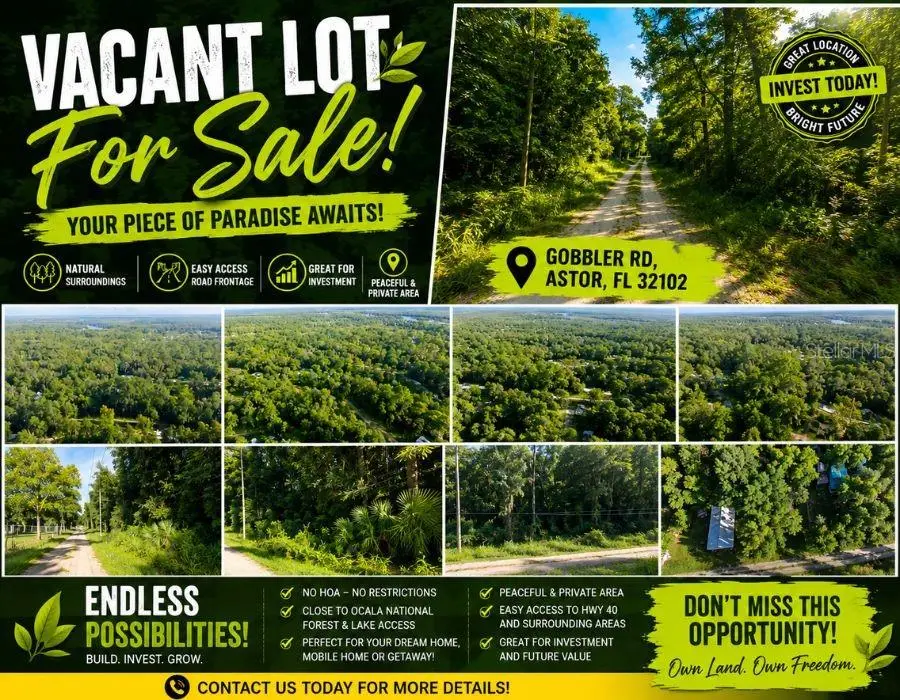 0 Gobbler Road, Astor, FL 32102 - #1