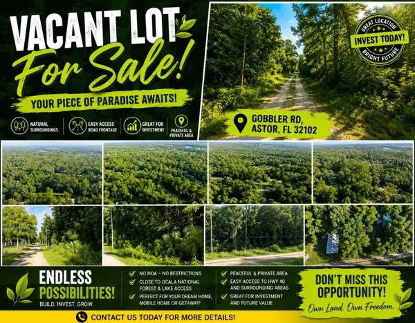 0 Gobbler Road, Astor, FL 32102