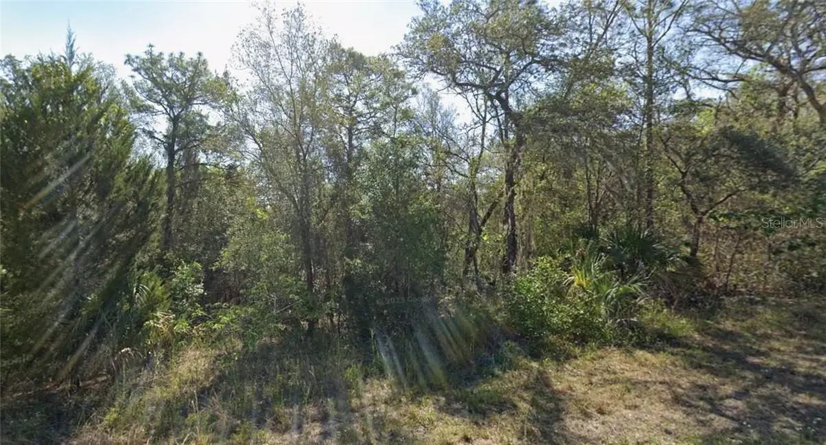 91 N West Avenue, Inverness, FL 34453 - #1