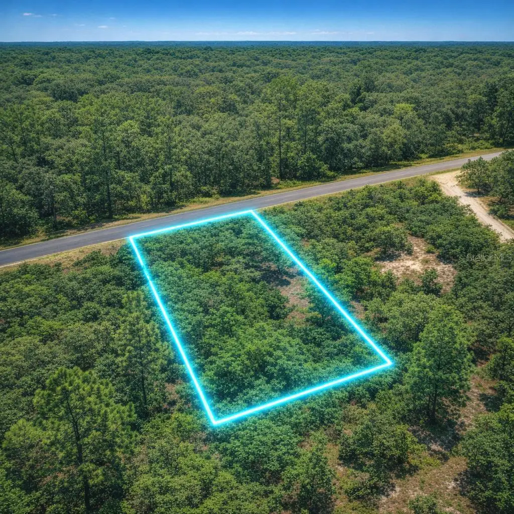 0 SE 133rd Ave Rainbow Lakes Est Avenue, Dunnellon, FL 34431 - #1