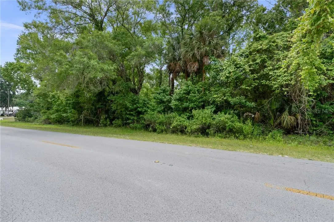 8470 W Bradshaw Street, Homosassa, FL 34448 - #1