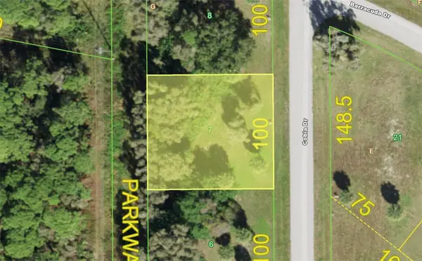 70 Cobia Drive, PLACIDA, FL 33946