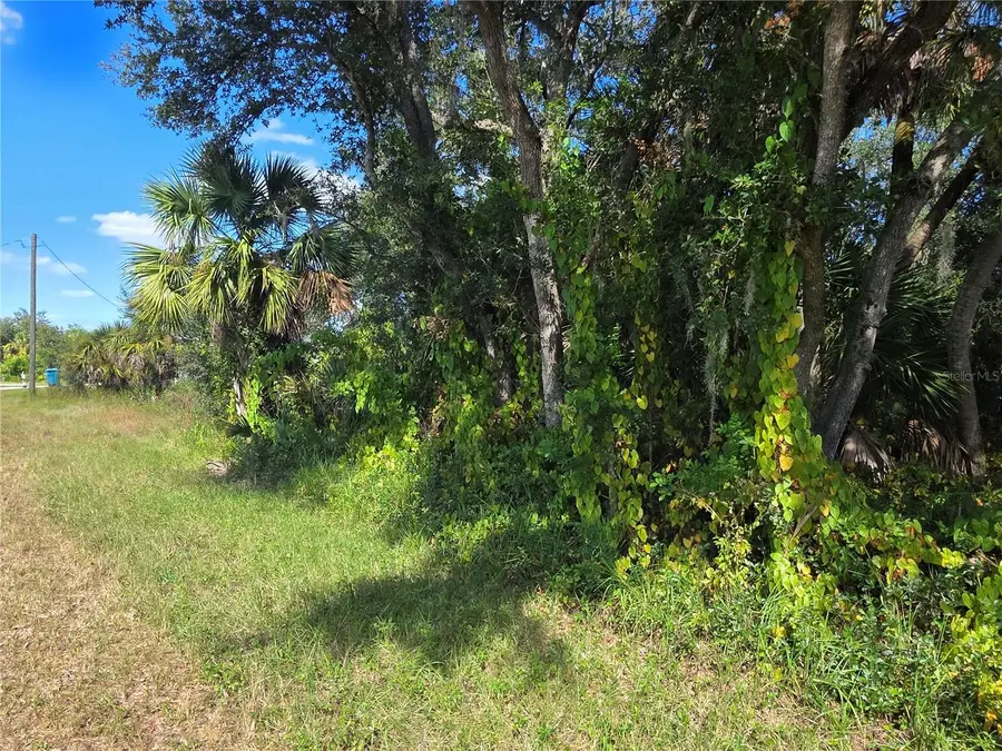 414 Liddy Street, Port Charlotte, FL 33954 - Image #2