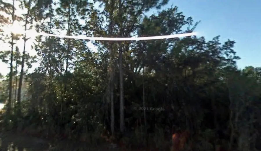 23105 Newcun Avenue, Punta Gorda, FL 33980 - Image #3