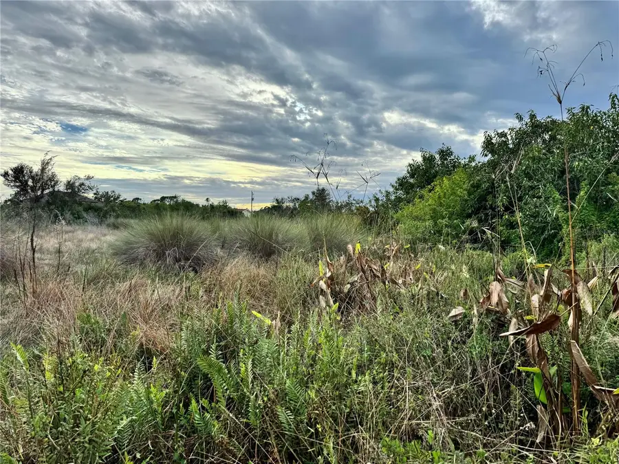 15769 Hennipen Circle, Port Charlotte, FL 33981 - Image #3