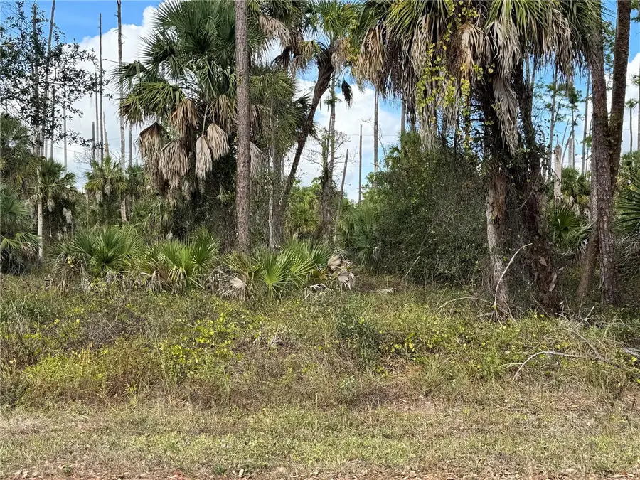 17344 Orion Avenue, Port Charlotte, FL 33954 - Image #3