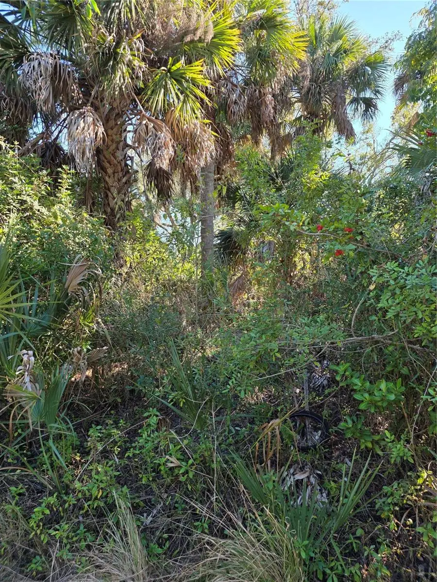 12031 Miles Avenue, Port Charlotte, FL 33953 - #3