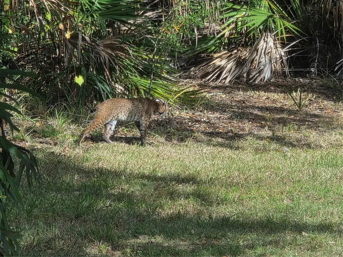 2212 Wakefield Street, Port Charlotte, FL 33948 - #1