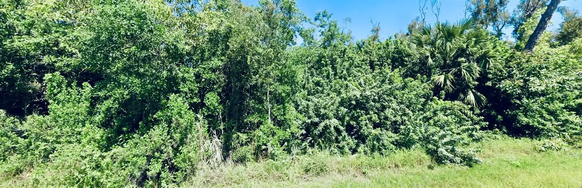 14276 Myakka Avenue, Port Charlotte, FL 33953 - #1