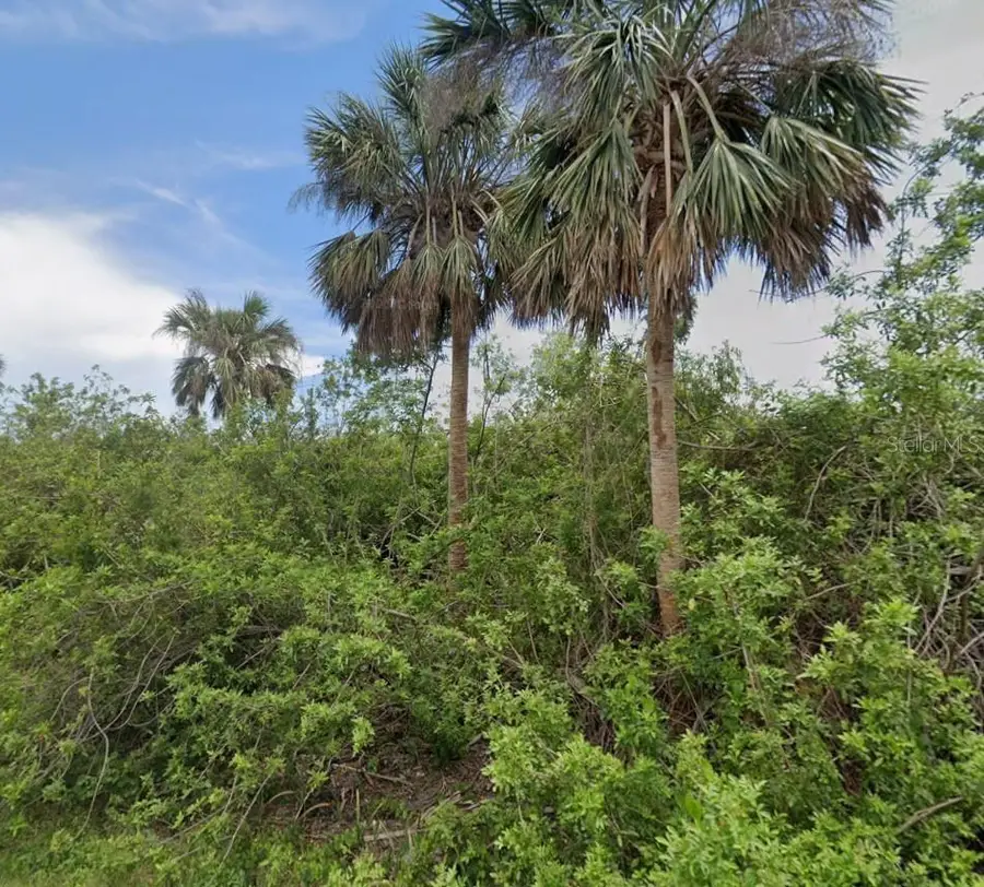 14529 Mcmillin Avenue, Port Charlotte, FL 33953 - #2