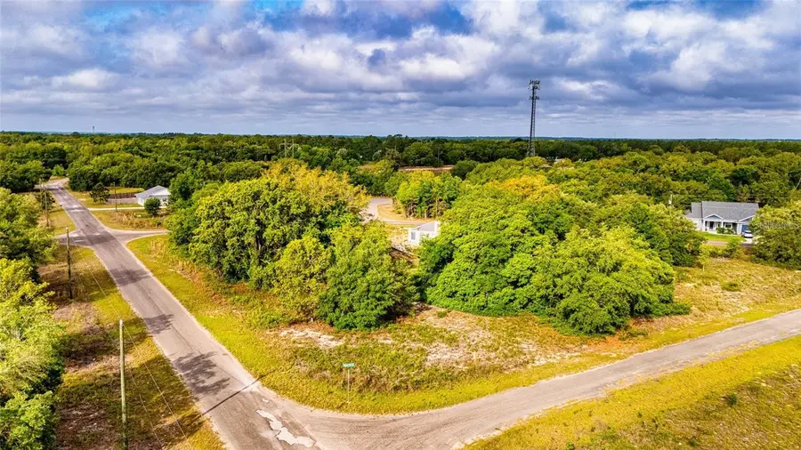 Guava Terrace, Ocklawaha, FL 32179 - #3