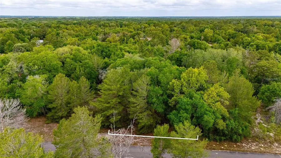Magnolia Drive, Ocklawaha, FL 32179 - #3