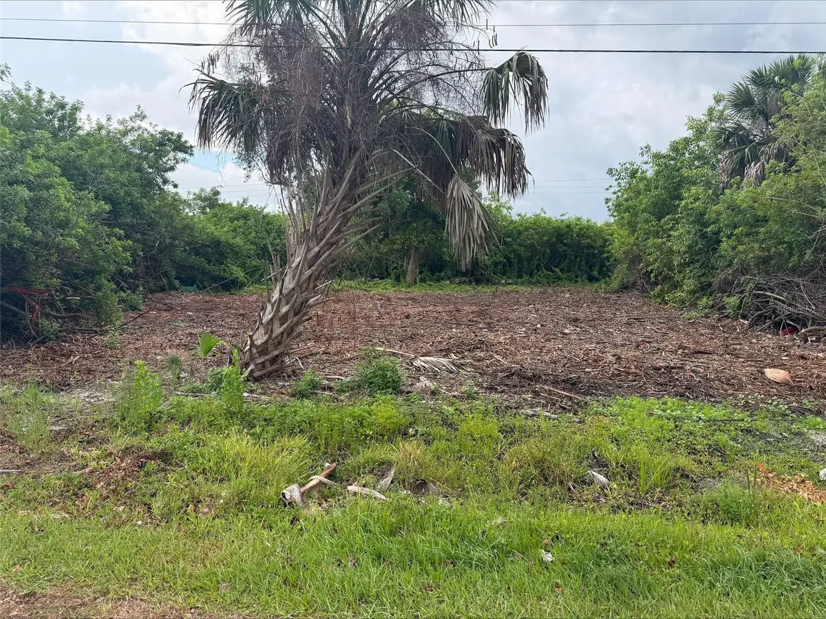 861 Burland Street, Punta Gorda, FL 33950 - #1
