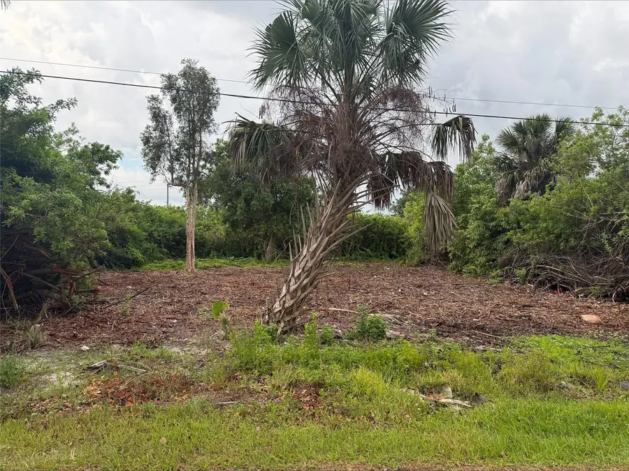 861 Burland Street, Punta Gorda, FL 33950 - #3
