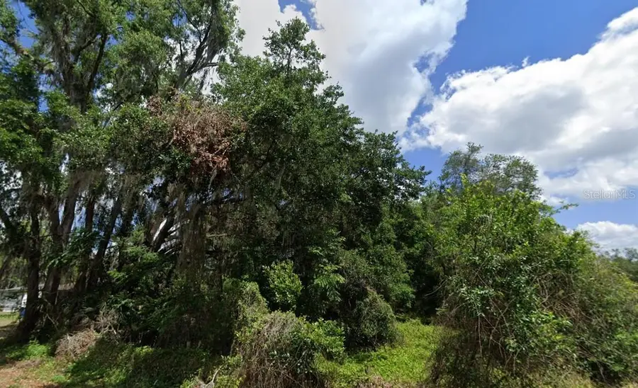NW 2nd, Webster, FL 33597 - #3