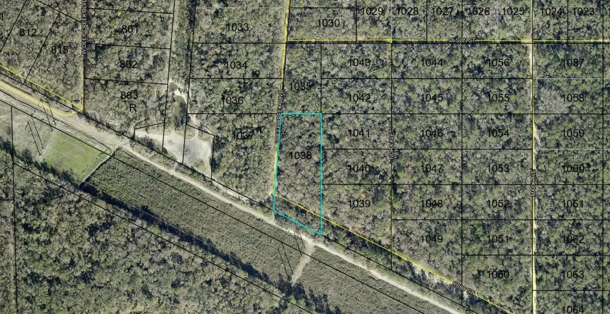 E Deep Creek, Hastings, FL 32145 - #1