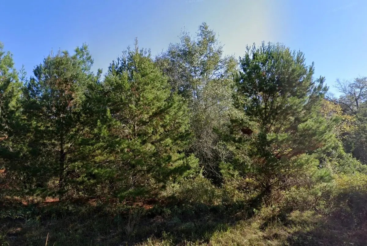 Parkview Lot 13 Drive, Chipley, FL 32428 - #1