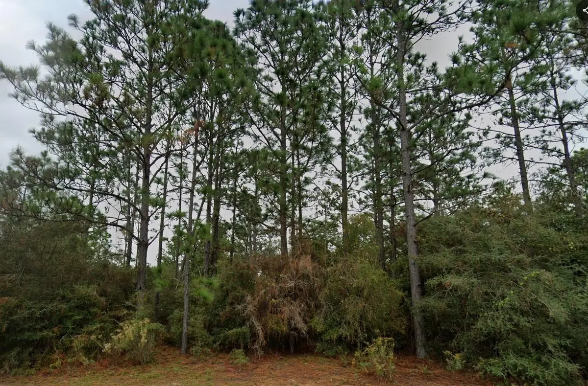 Deltona Boulevard, Chipley, FL 32428 - #1