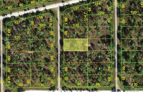 13346 Bambi Terrace, PUNTA GORDA, FL 33955