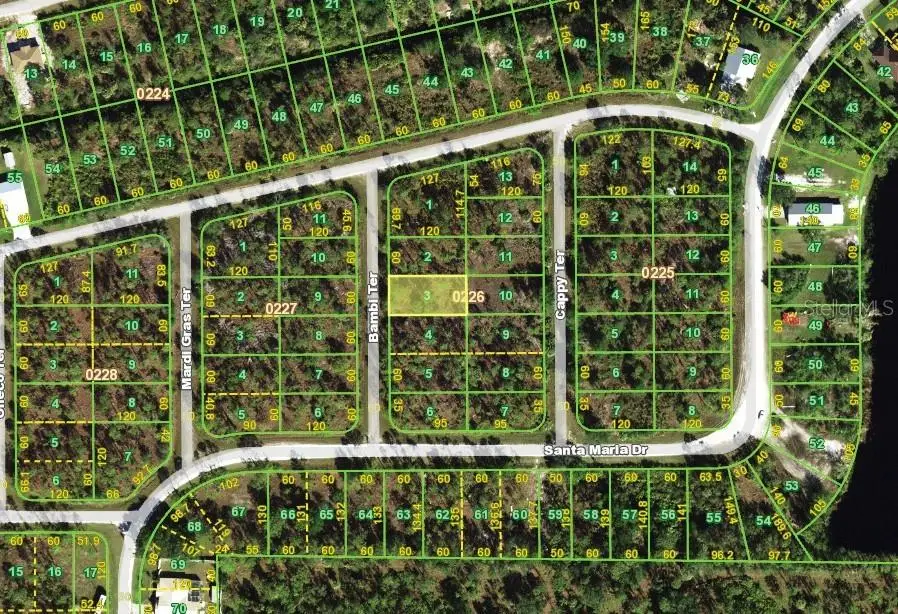 13346 Bambi Terrace, Punta Gorda, FL 33955 - #2