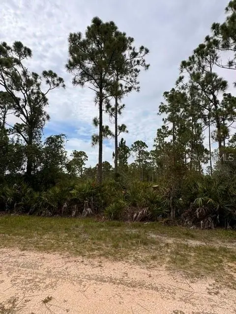27430 Chrysalis Drive, Punta Gorda, FL 33955 - #3