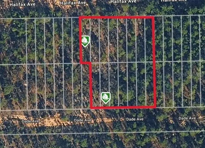 Halifax Ave, Interlachen, FL 32148 - #2