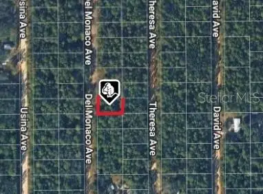 920 Del Monaco Avenue, Interlachen, FL 32148 - #1