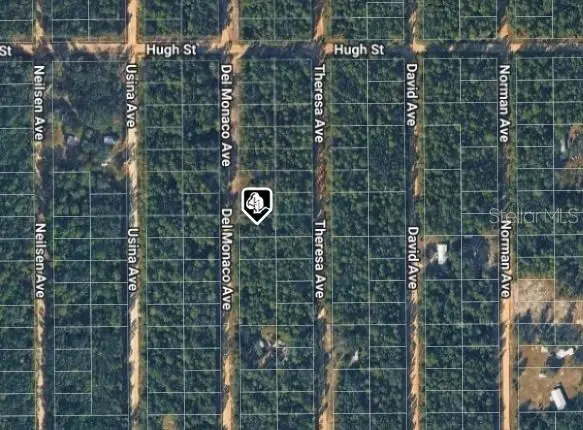 920 Del Monaco Avenue, Interlachen, FL 32148 - #3