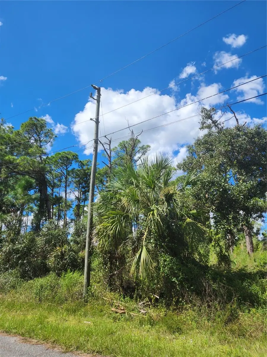Dorie Street, North Port, FL 34291 - #3
